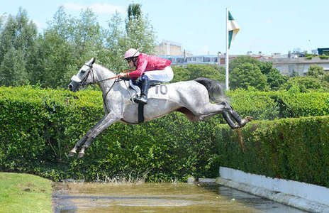 Actualités Hippiques
